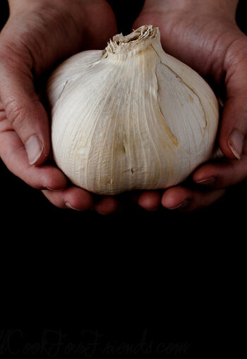 1 lb Elephant Garlic